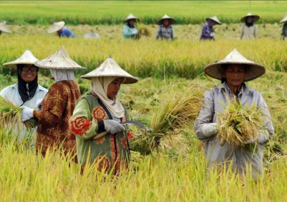 petani makmur